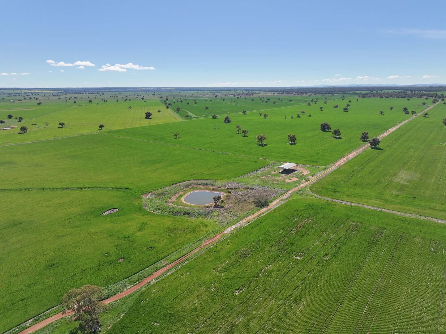 Additional image 19 of 2666 Henry Parkes Way, Gunningbland NSW 2876