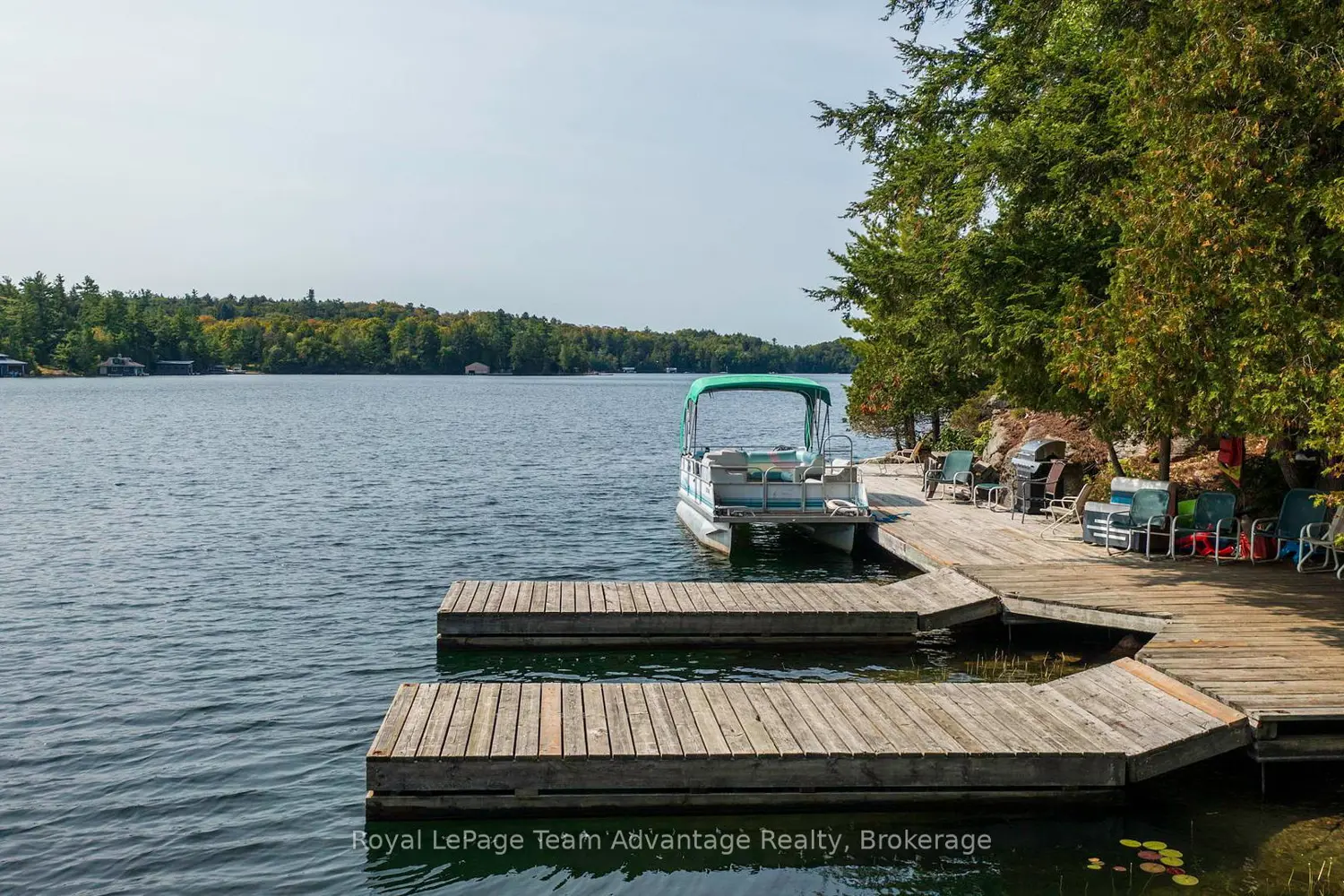 Additional image 3 of 11 Veronica Gene Lane