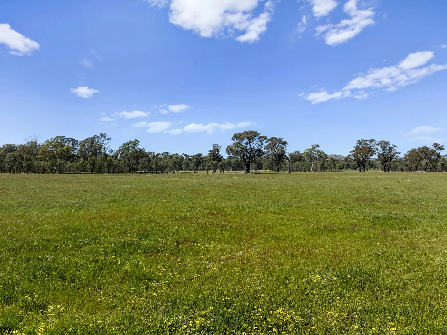 Additional image 12 of 19A & 20A Balmattum North Road, Balmattum VIC 3666