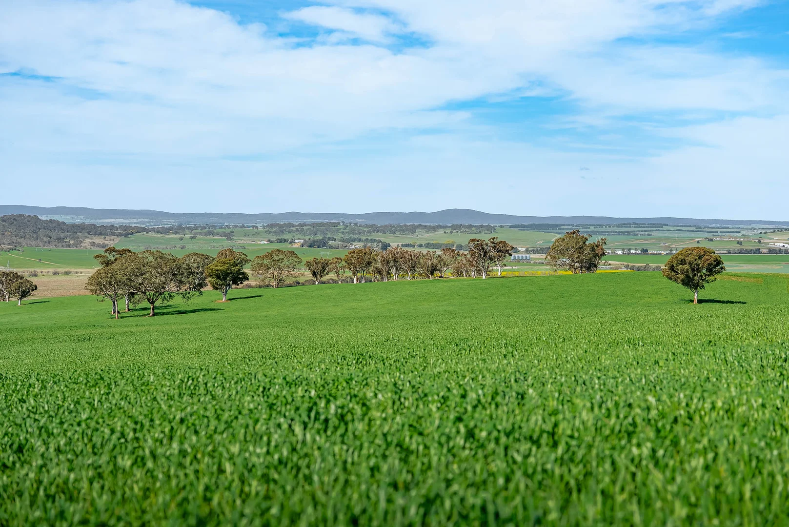 Additional image 2 of 276 Currawang Road, Goulburn NSW 2580