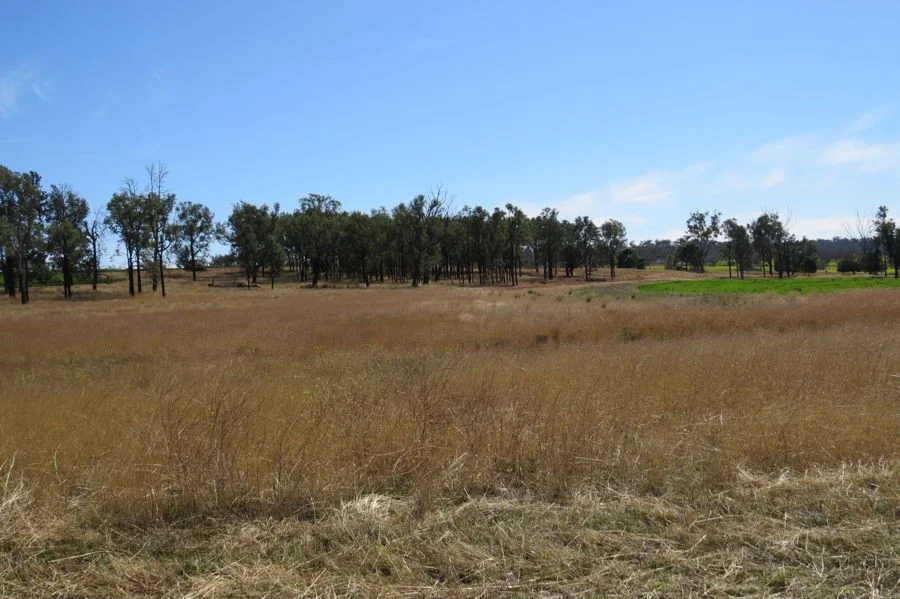 Additional image 6 of 329 Pickfords Road, Yetman NSW 2410