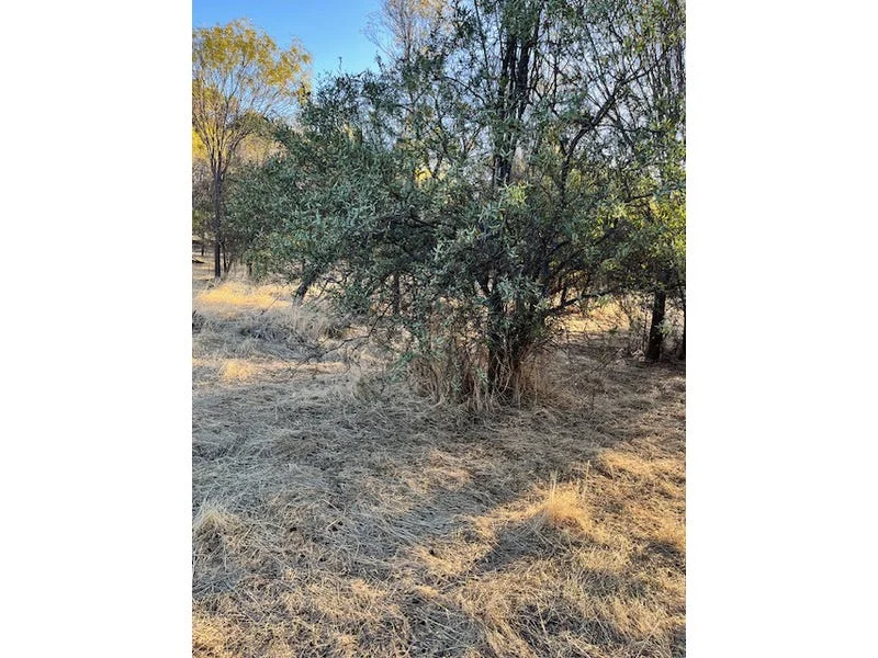 Additional image 28 of 964 Dobaderry Road, Beverley WA 6304