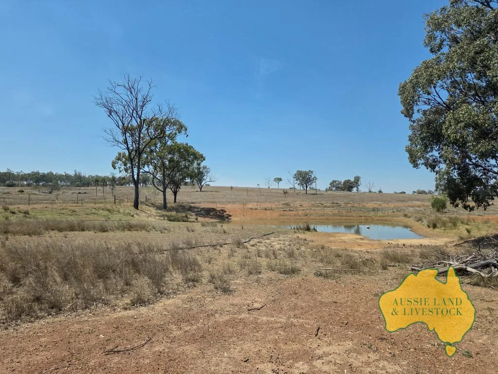 Additional image 38 of 110 BENHAMS ROAD, Mundubbera QLD 4626