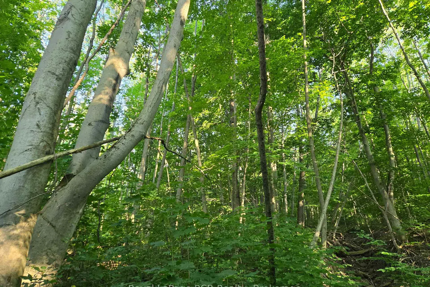 Additional image 4 of 130 Old Highway 26 Highway