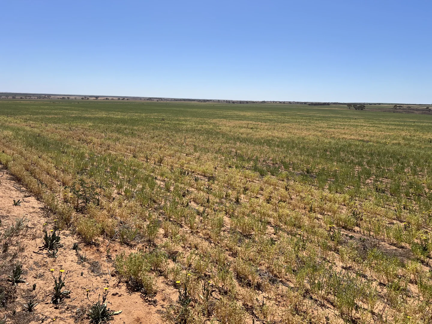 Additional image 5 of 752 Greenways Road, Nildottie SA 5238