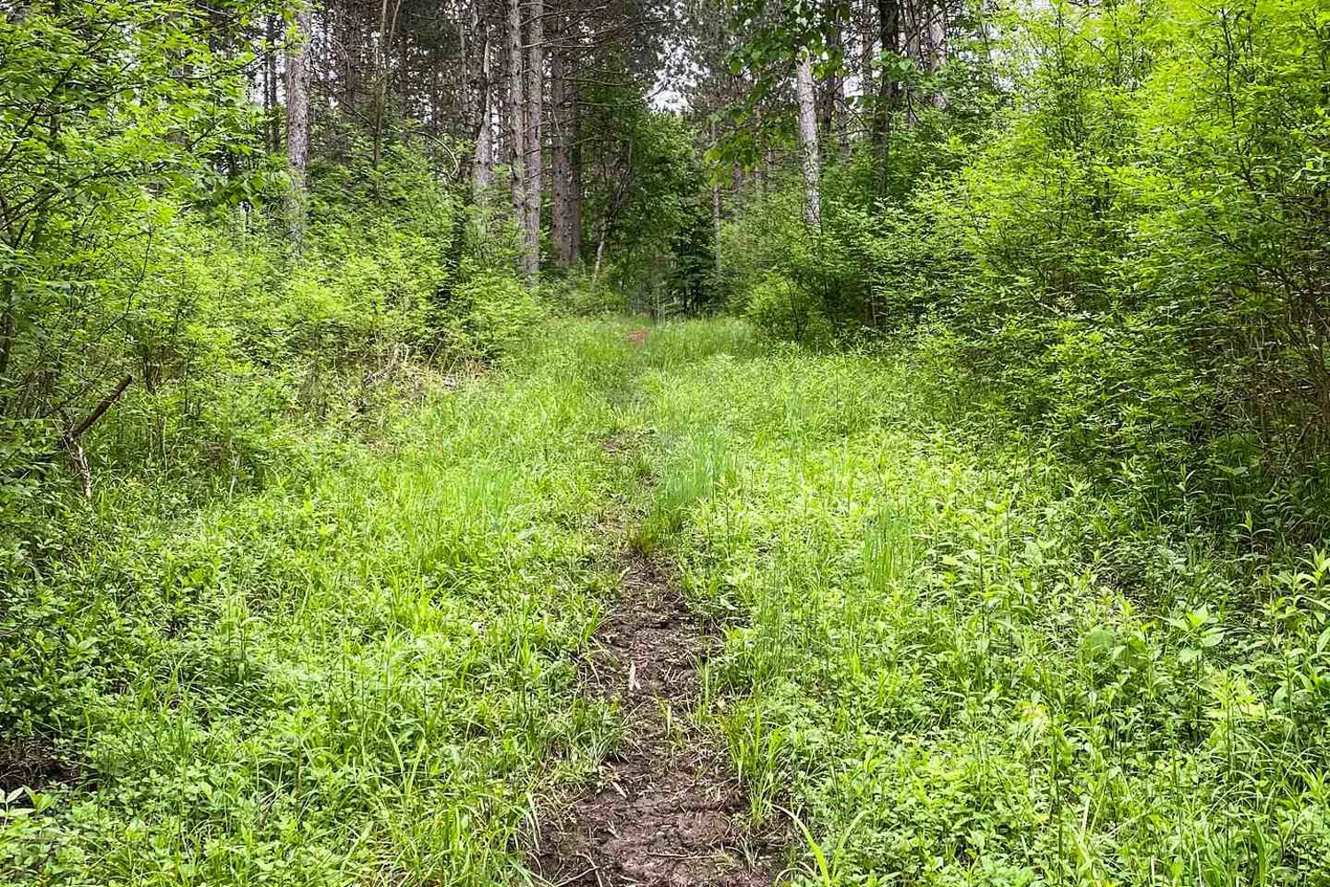 Additional image 12 of 1477 Watsons Corners Road