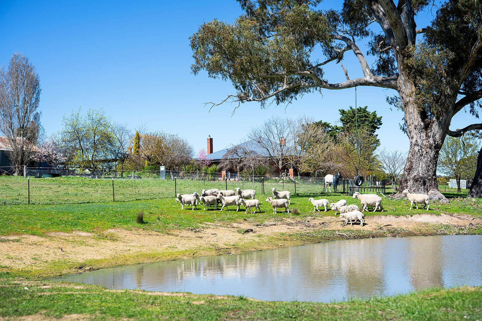 Additional image 3 of 3040 Harmony Way, Faraday VIC 3451