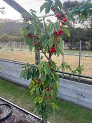 Additional image 26 of 500 Rifle Range Road, Sandford TAS 7020