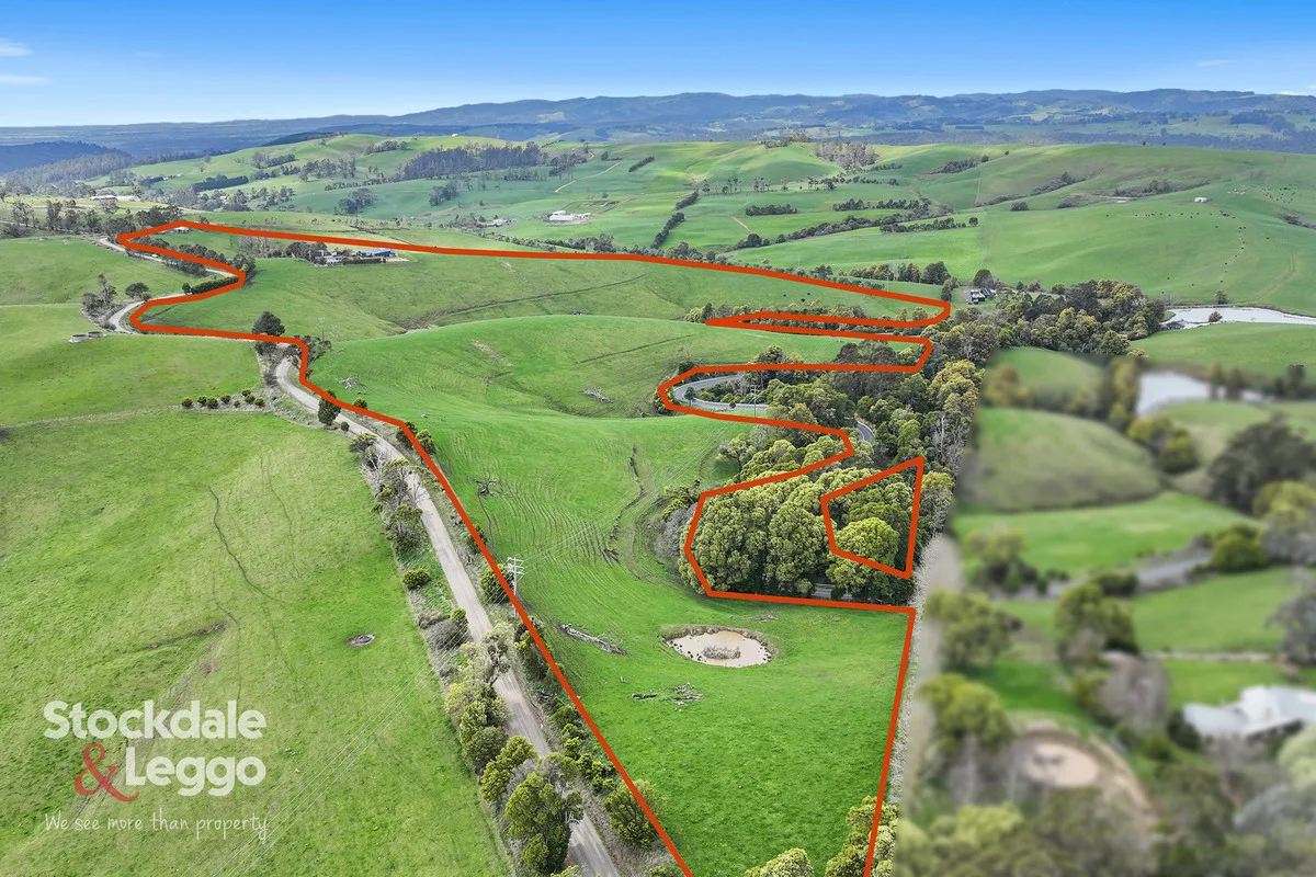 Additional image 41 of 156 Sheens Road, Mirboo North VIC 3871