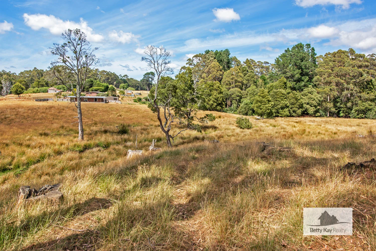 Additional image 19 of 976 Mengha Road, Mengha TAS 7330