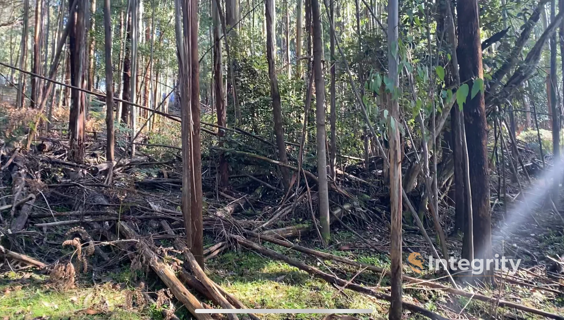 Additional image 6 of 47 Bald Spur Road, Kinglake VIC 3763