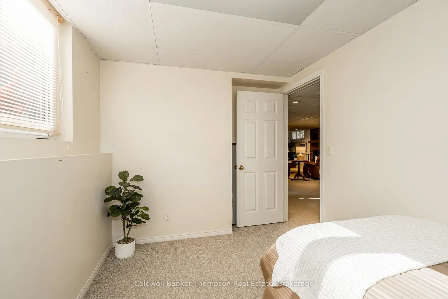 Additional image 10 of 252 Fowlers Road