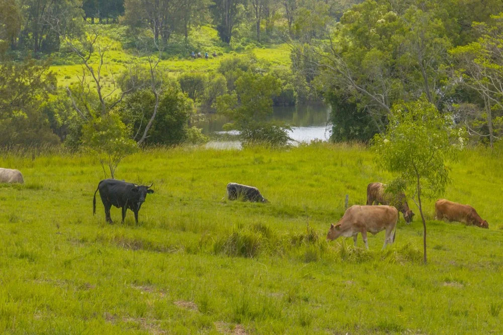 Additional image 33 of Sherwood NSW 2440