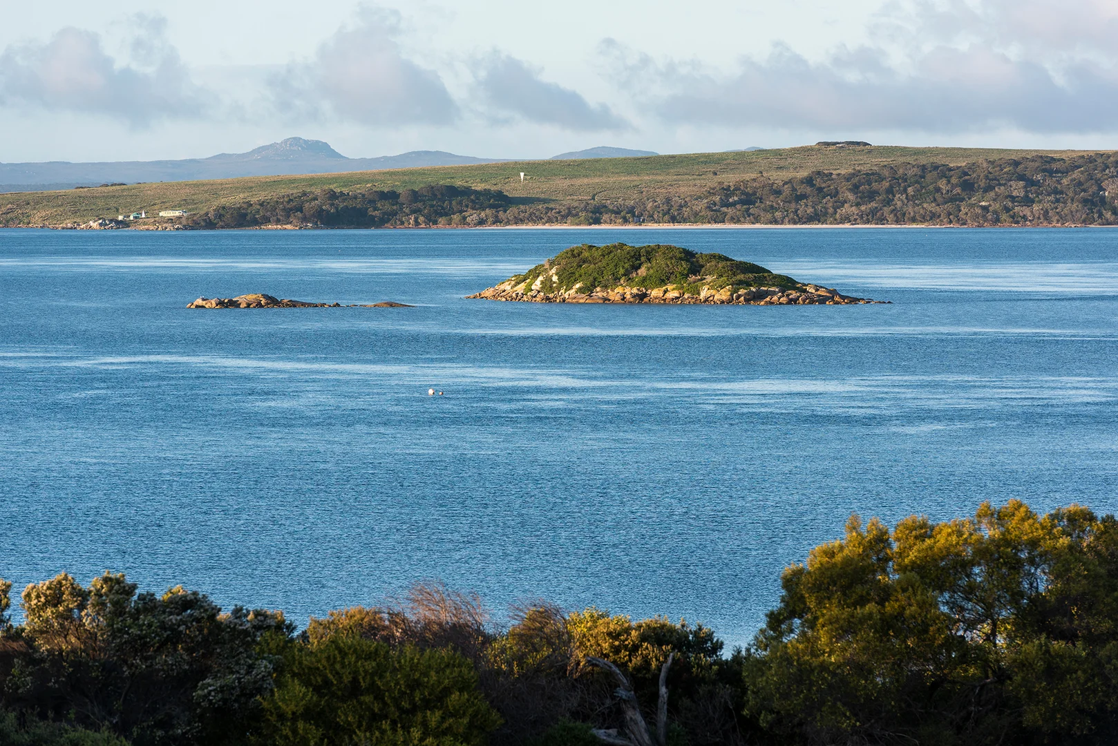 Additional image 19 of 168 Pot Boil Road, Lady Barron TAS 7255