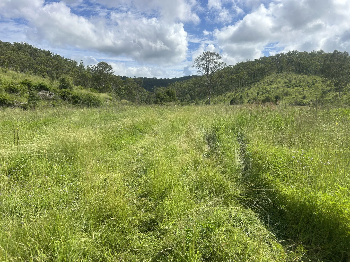 Additional image 4 of 789 Coppin Rd, Monto QLD 4630