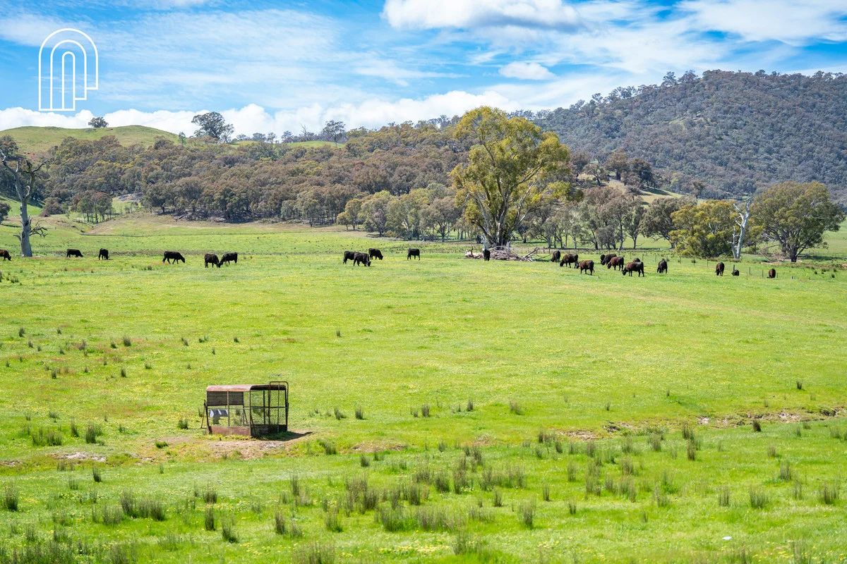Additional image 13 of 710a Talgarno Gap Road, Talgarno VIC 3691
