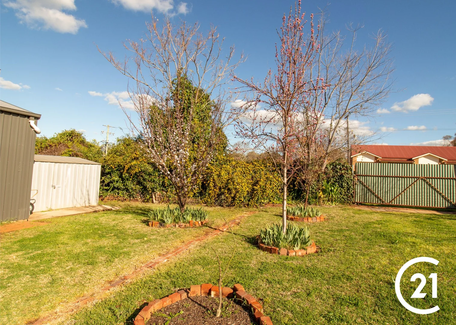 Additional image 22 of 100 Flint Street, Forbes NSW 2871