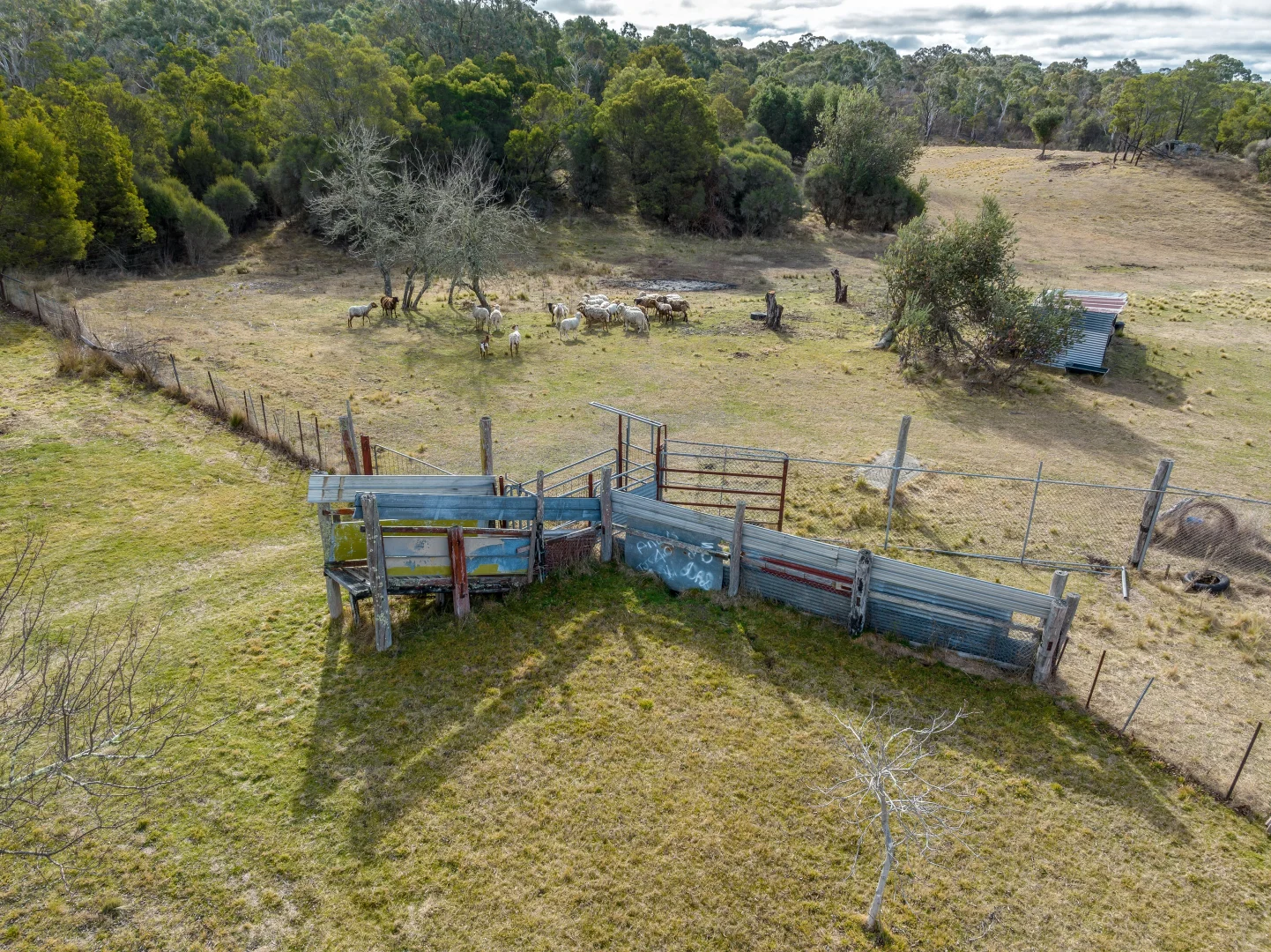 Additional image 8 of 745 Sandy Point Road, Lower Boro NSW 2580