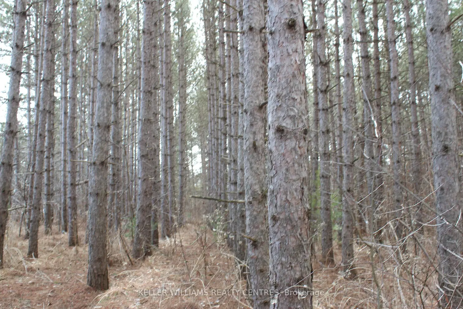 Additional image 8 of Tba Concession Rd 2