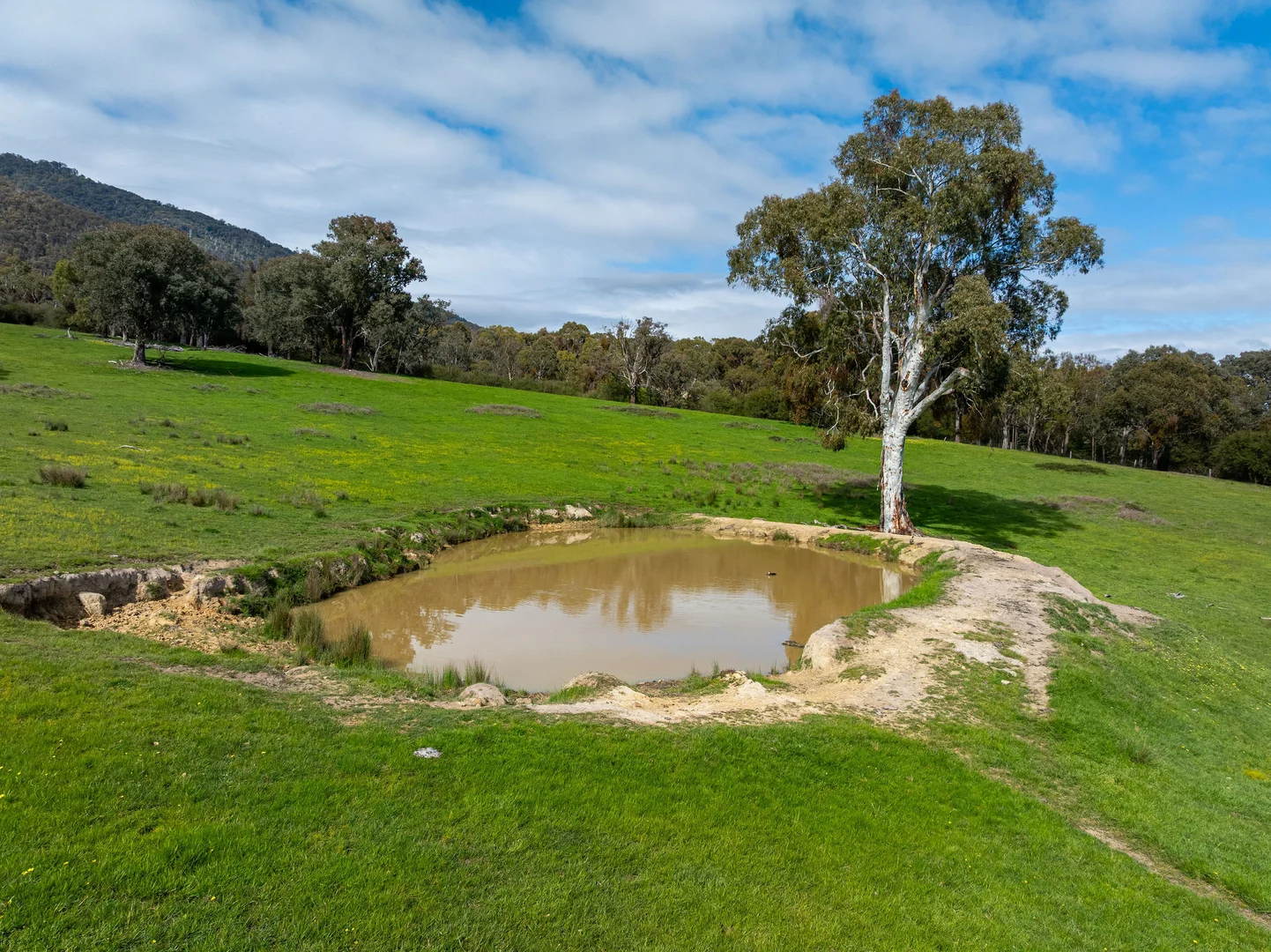 Additional image 6 of 368 Rubicon Road, Rubicon VIC 3712