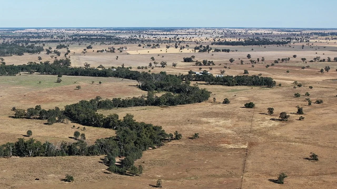 Additional image 11 of 128 Berida-Bullagreen Road, Collie NSW 2827