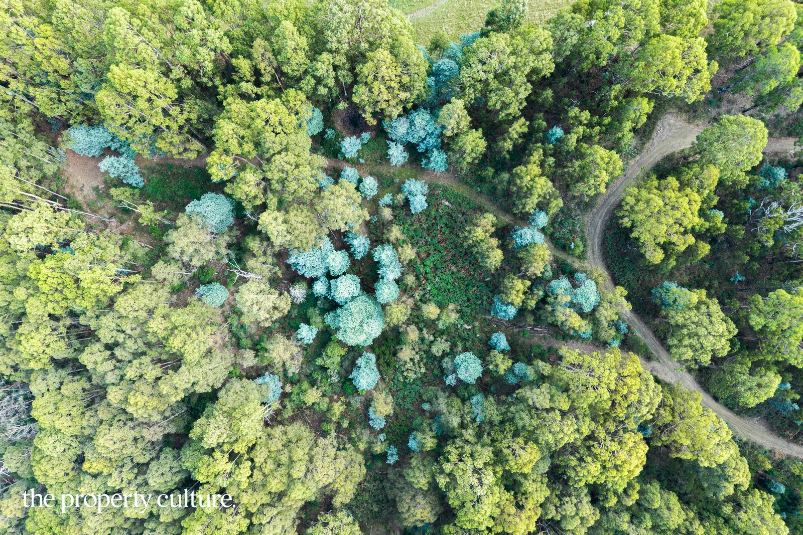 Additional image 3 of 2 Heriots Rise, Franklin TAS 7113