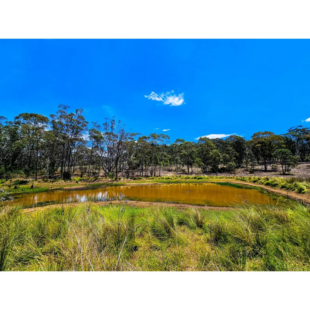 Additional image 14 of Baerami NSW 2333