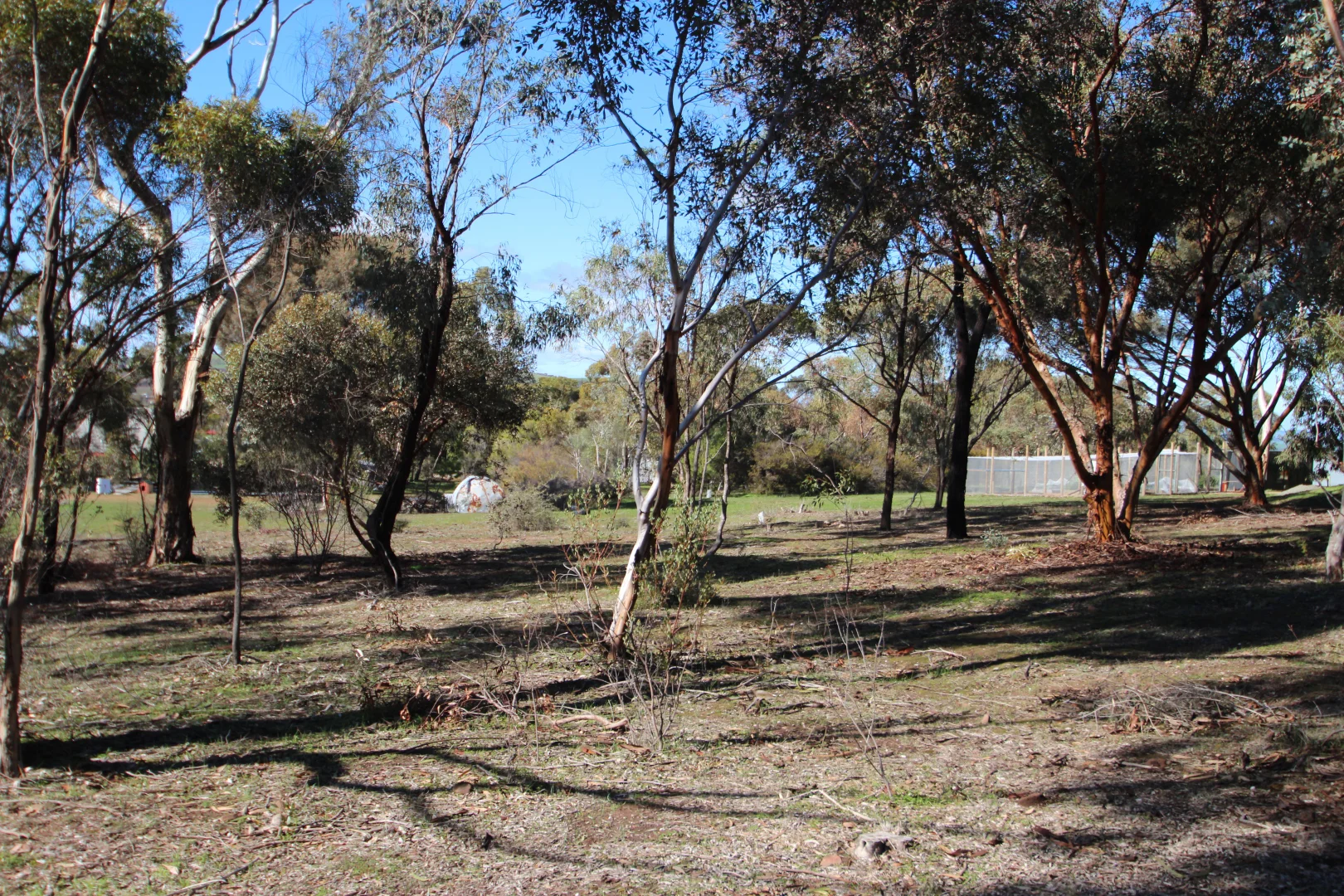 Additional image 6 of 8 West Terrace, Leasingham SA 5452