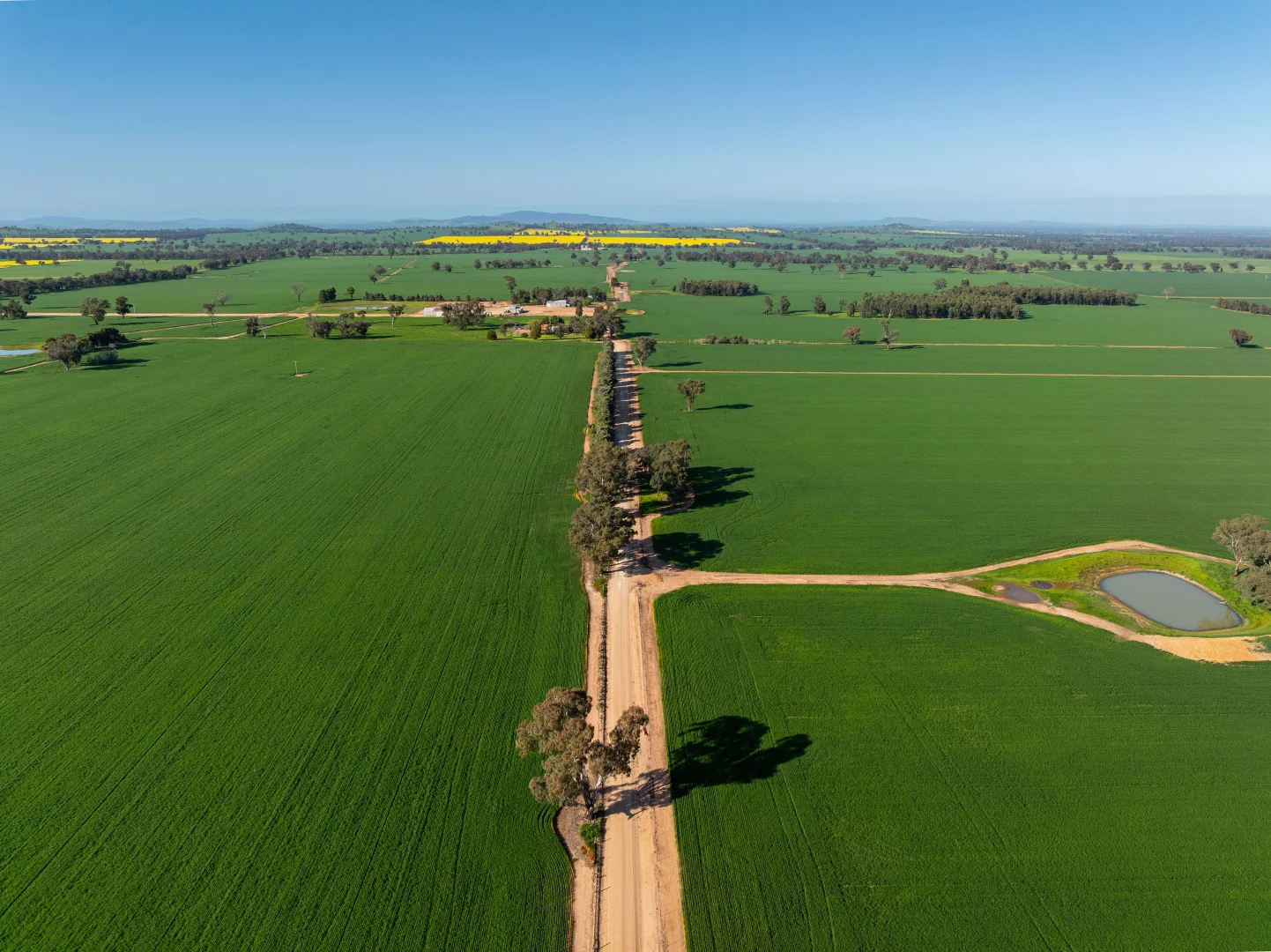 Additional image 23 of 484 Merri Meric Road, Henty NSW 2658