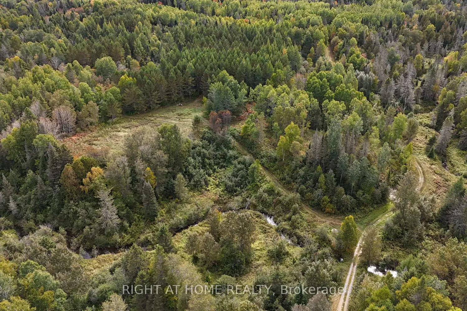 Additional image 8 of 58 Bellefeuille Road