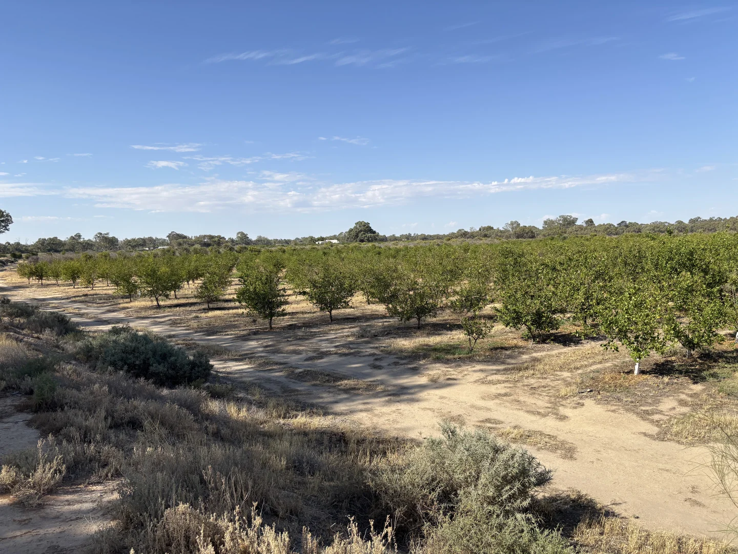 Additional image 10 of 43 Creek Road, Curlwaa NSW 2648