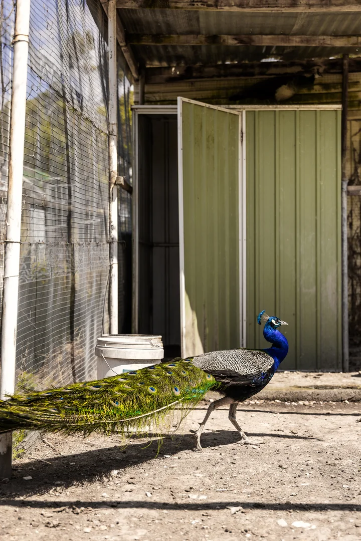 Additional image 27 of 71-79 Knees Road, Park Orchards VIC 3114