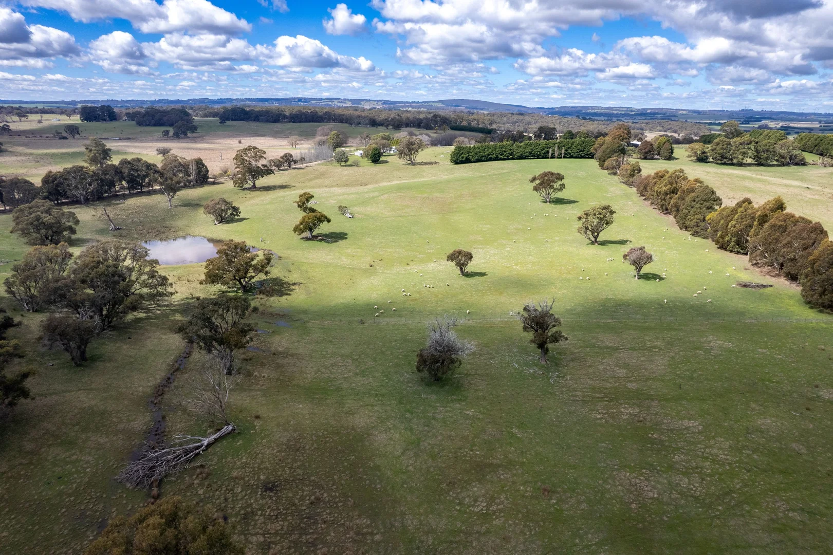 Additional image 18 of 6906 Boorowa Road, Lost River NSW 2583