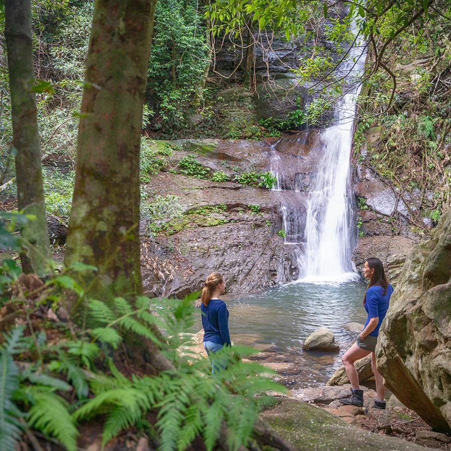 Additional image 6 of Calderwood NSW 2527