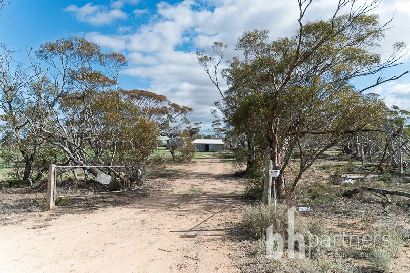 Additional image 9 of 89 Schroeder Road, Cambrai SA 5353