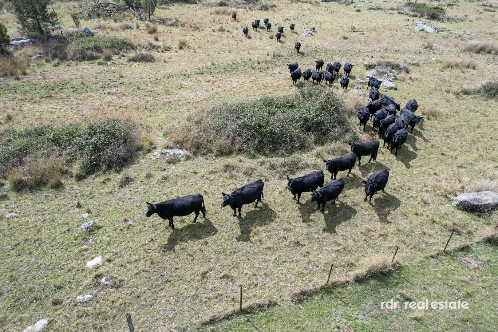 Additional image 5 of 1305 Bingara Road, Bundarra NSW 2359