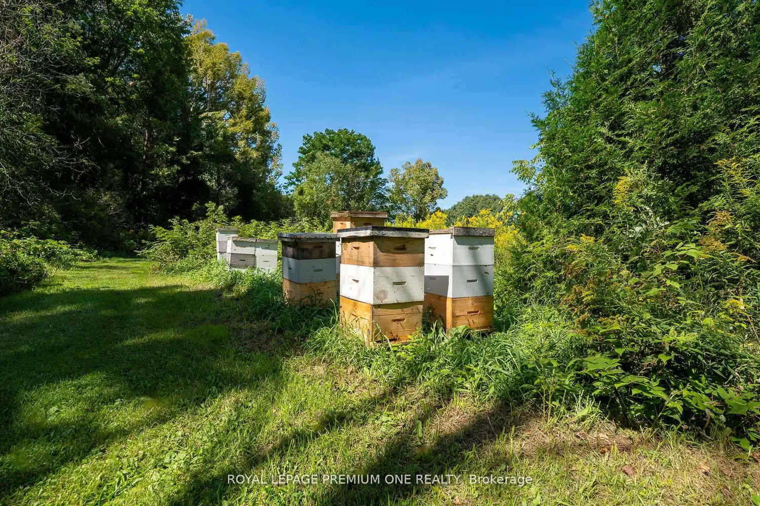 Additional image 19 of 14650 Heart Lake Road