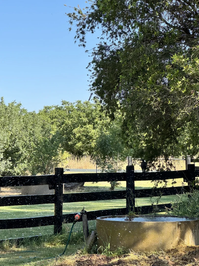 Additional image 53 of 1909 Echuca-Mitiamo Road, Kotta VIC 3565