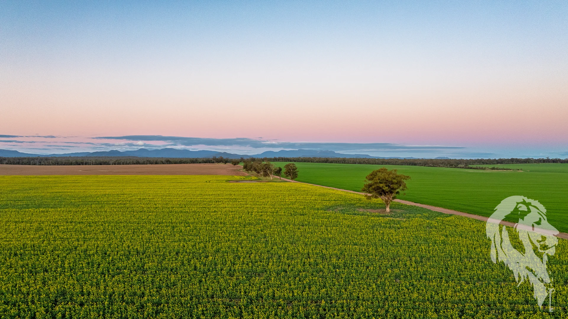 Additional image 13 of 13012 Newell Highway, Narrabri NSW 2390