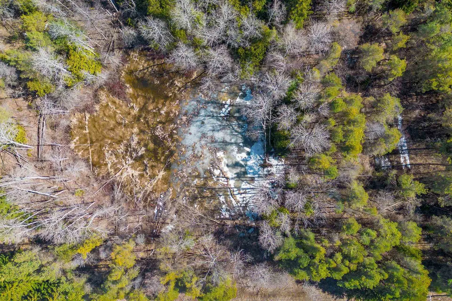 Additional image 14 of Tba Concession Rd 2