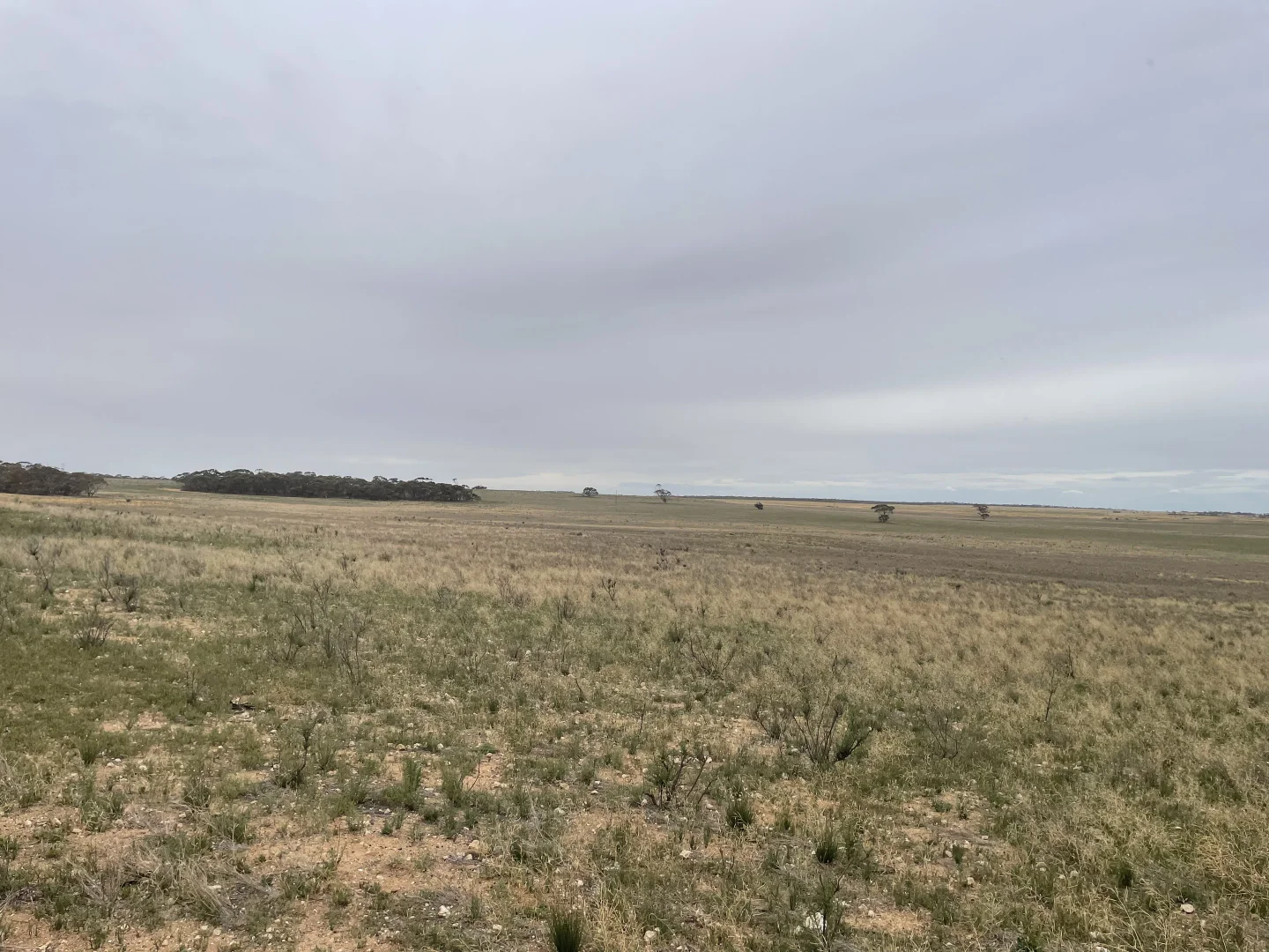 Additional image 15 of 2440 Black Hill Road, Black Hill SA 5353