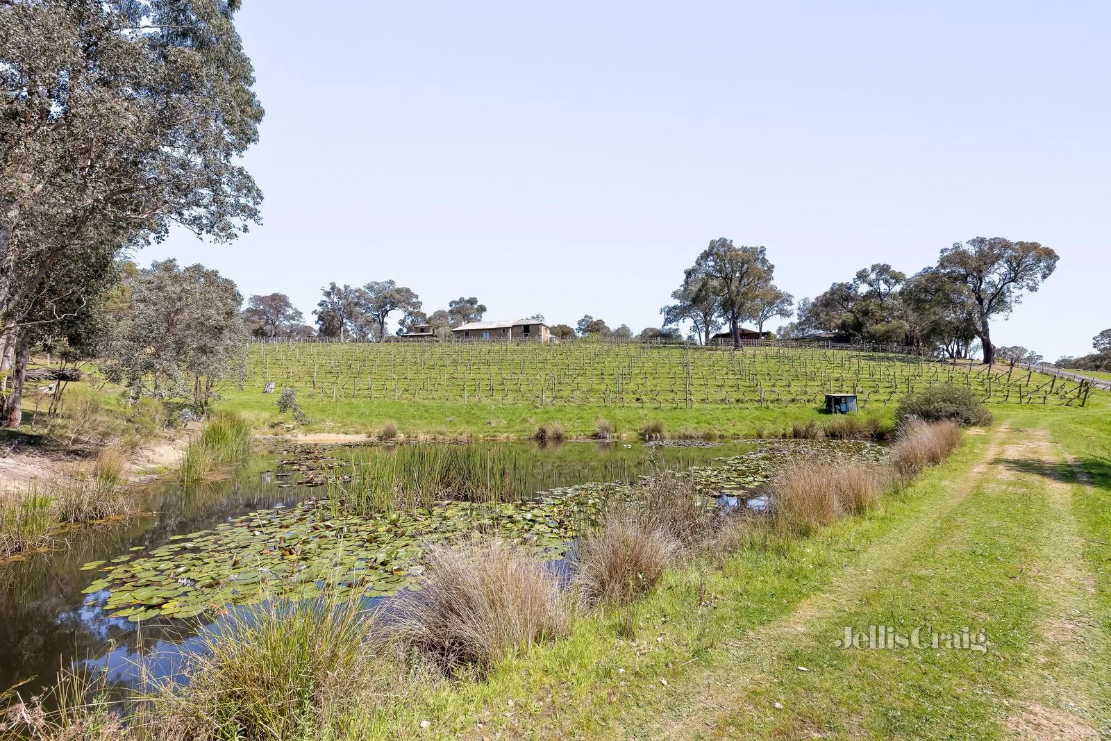 Additional image 19 of 145 Manuka Road, Panton Hill VIC 3759