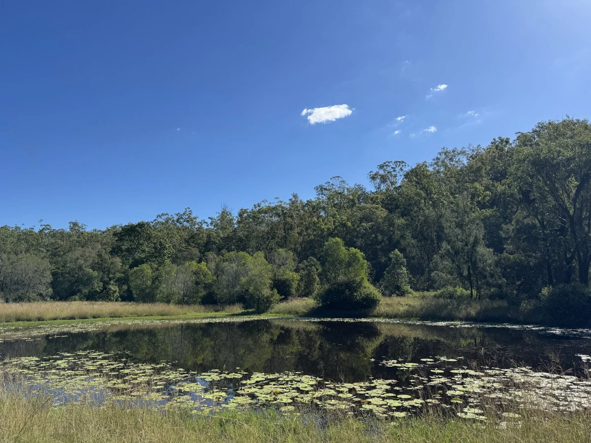 Additional image 23 of 845 Fireclay Road, Kalpowar QLD 4630