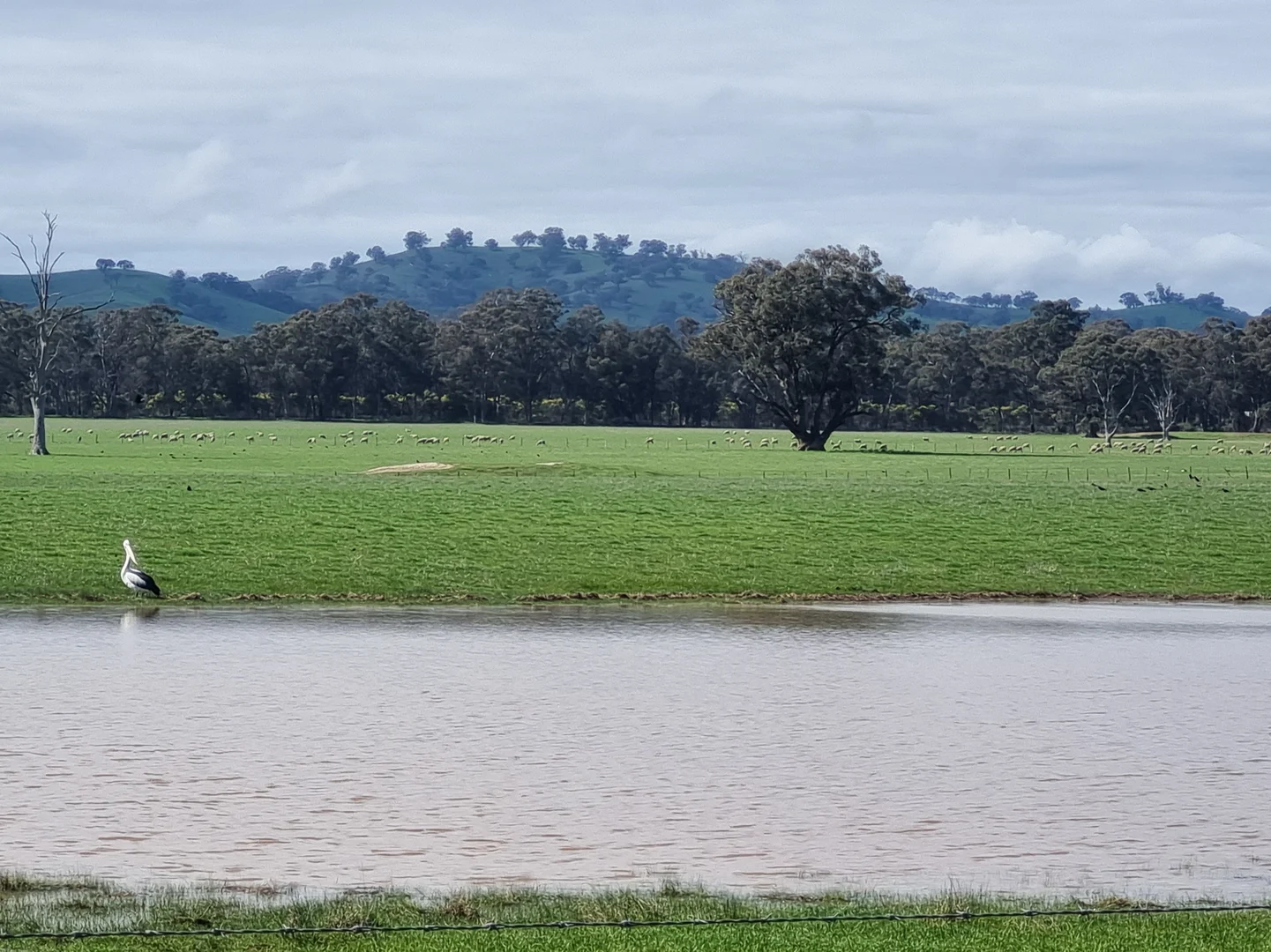 Additional image 6 of 10 Nalinga Road, Seymour VIC 3660