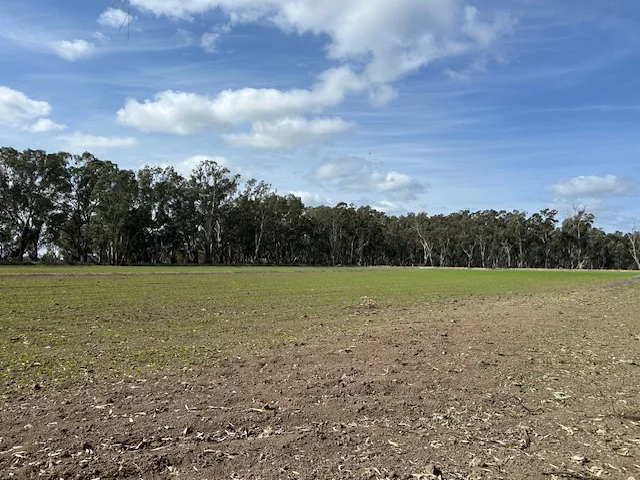 Additional image 14 of 456 RIVER ROAD, Gonn Crossing VIC 3579