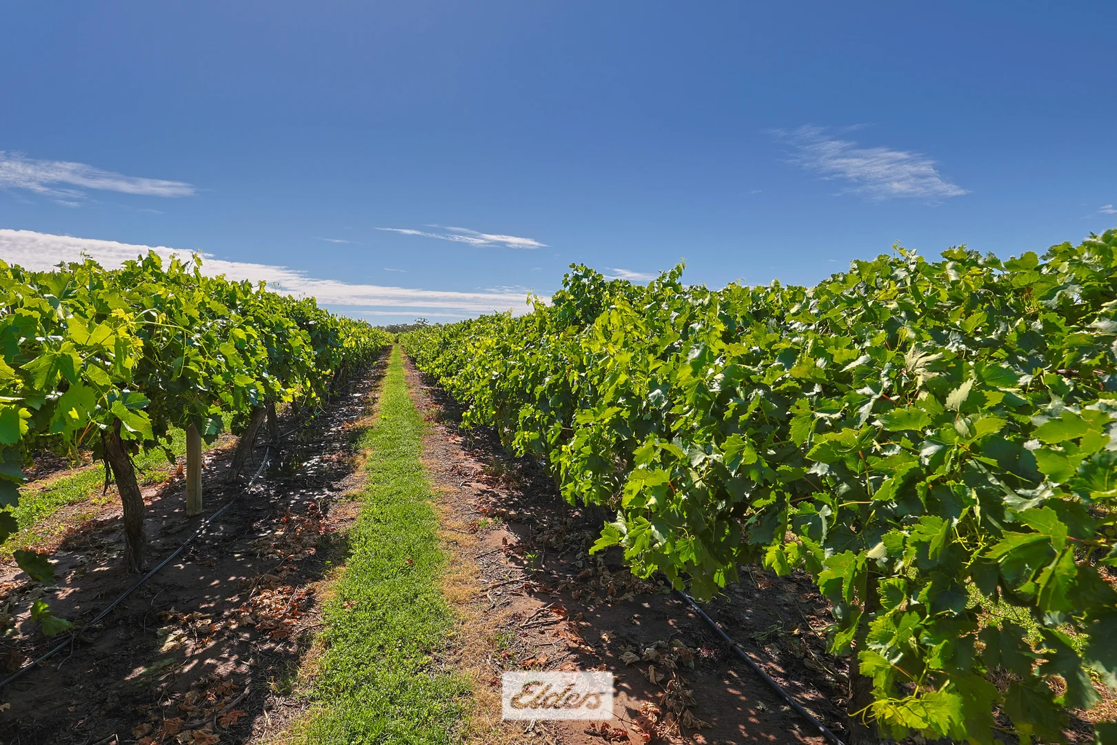 Additional image 24 of 388 Gol Gol North Road, Gol Gol NSW 2738