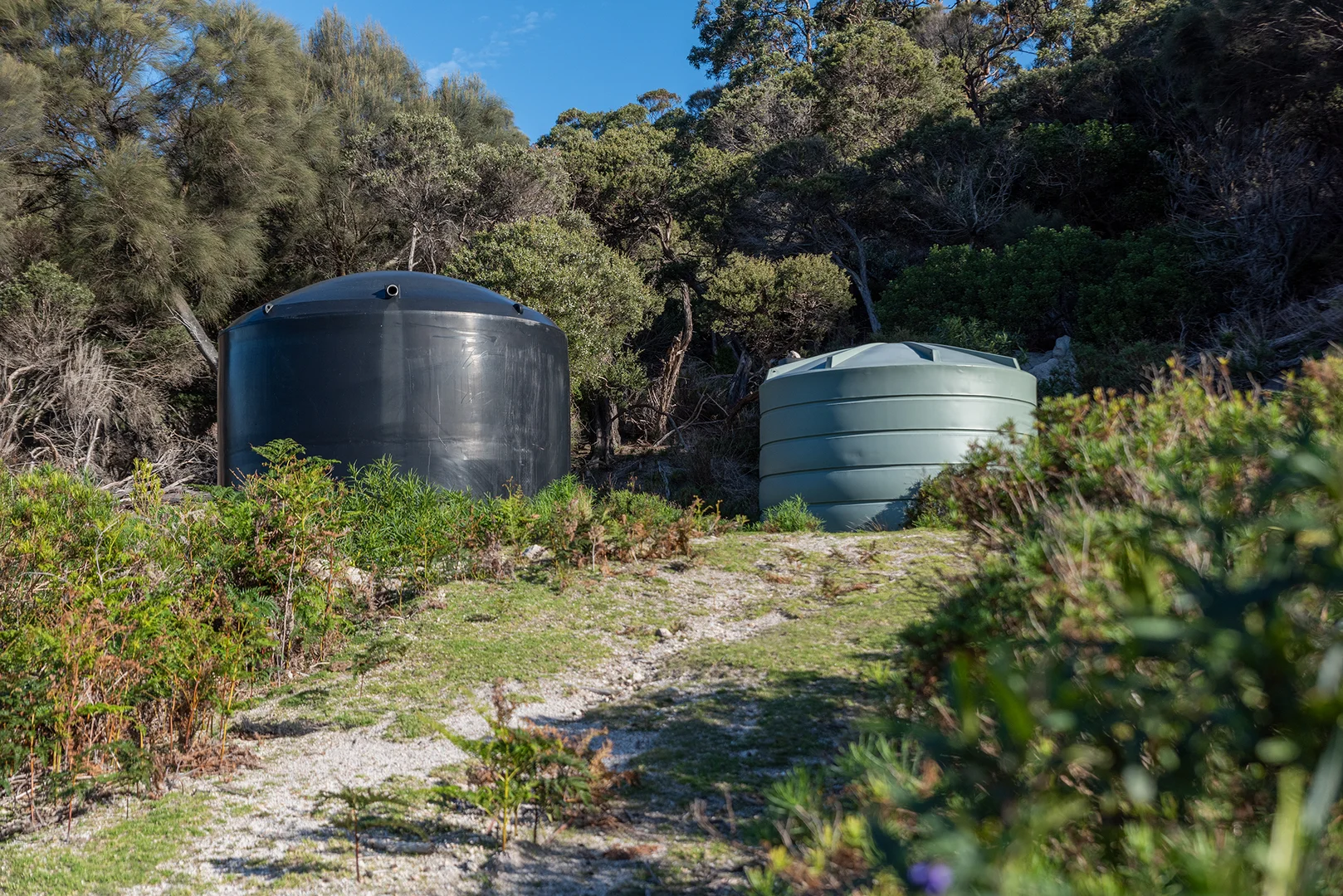 Additional image 29 of 525 Killiecrankie Road, Killiecrankie TAS 7255