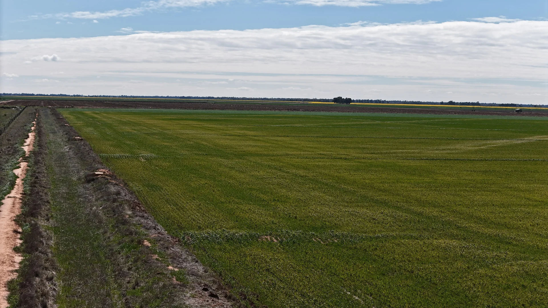 Additional image 13 of 69-70 Leonard Road, Coleambally NSW 2707