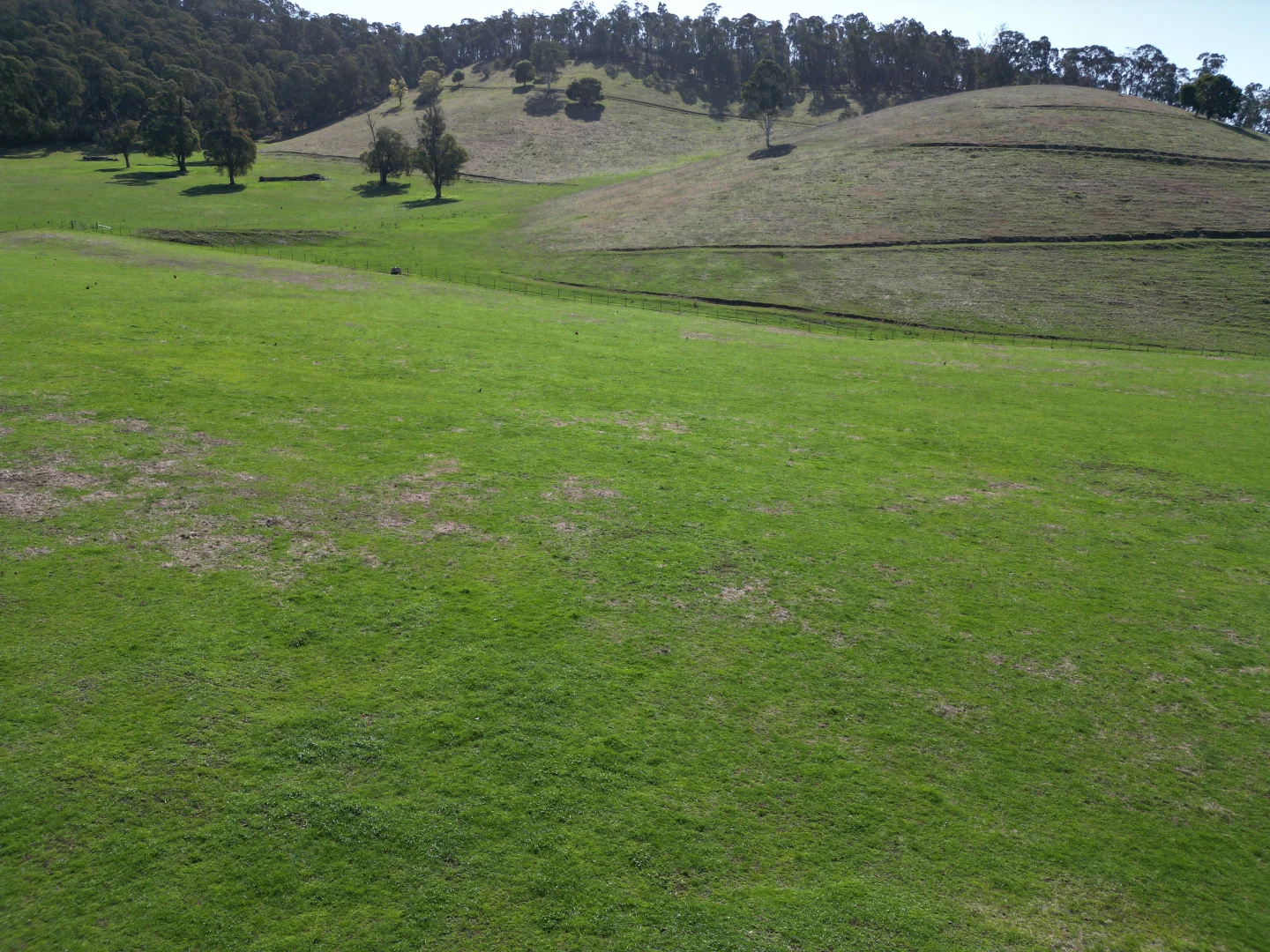 Additional image 14 of 40 Simpsons Creek Track, Nariel Valley VIC 3707