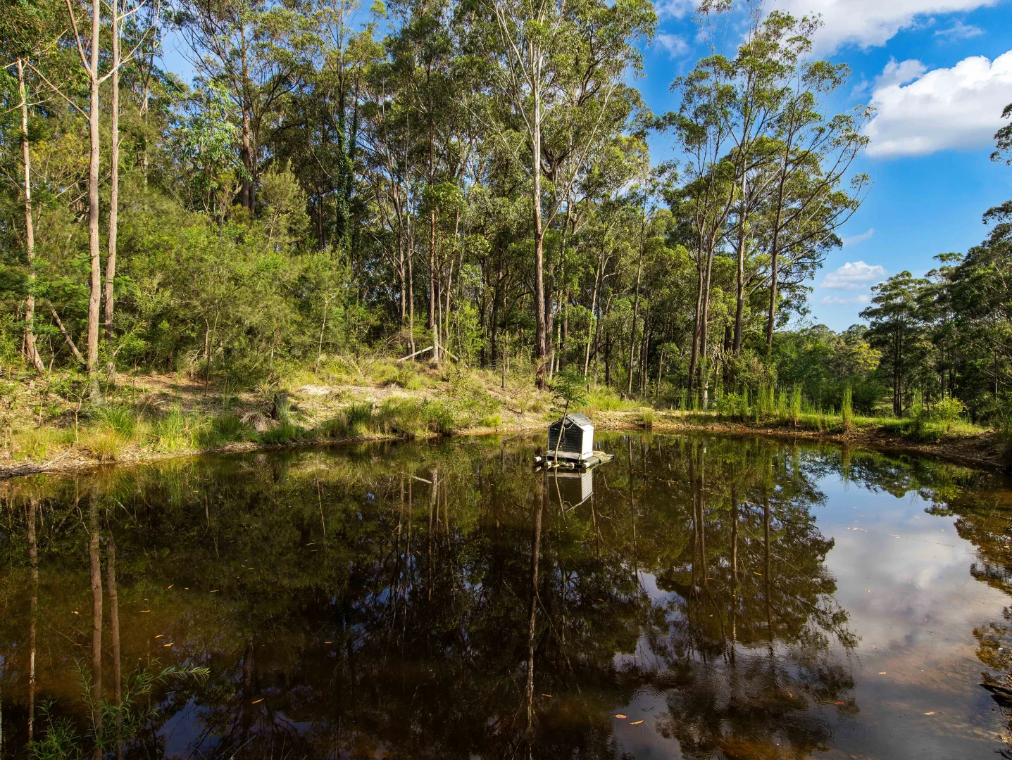 Additional image 33 of 11187 Princes Highway, Benandarah NSW 2536